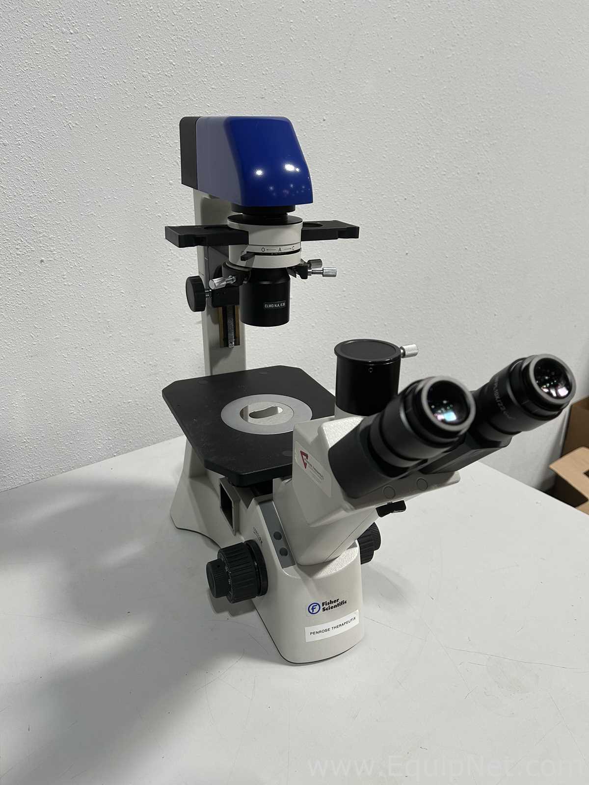 Fisher Scientific 29AX Microscope