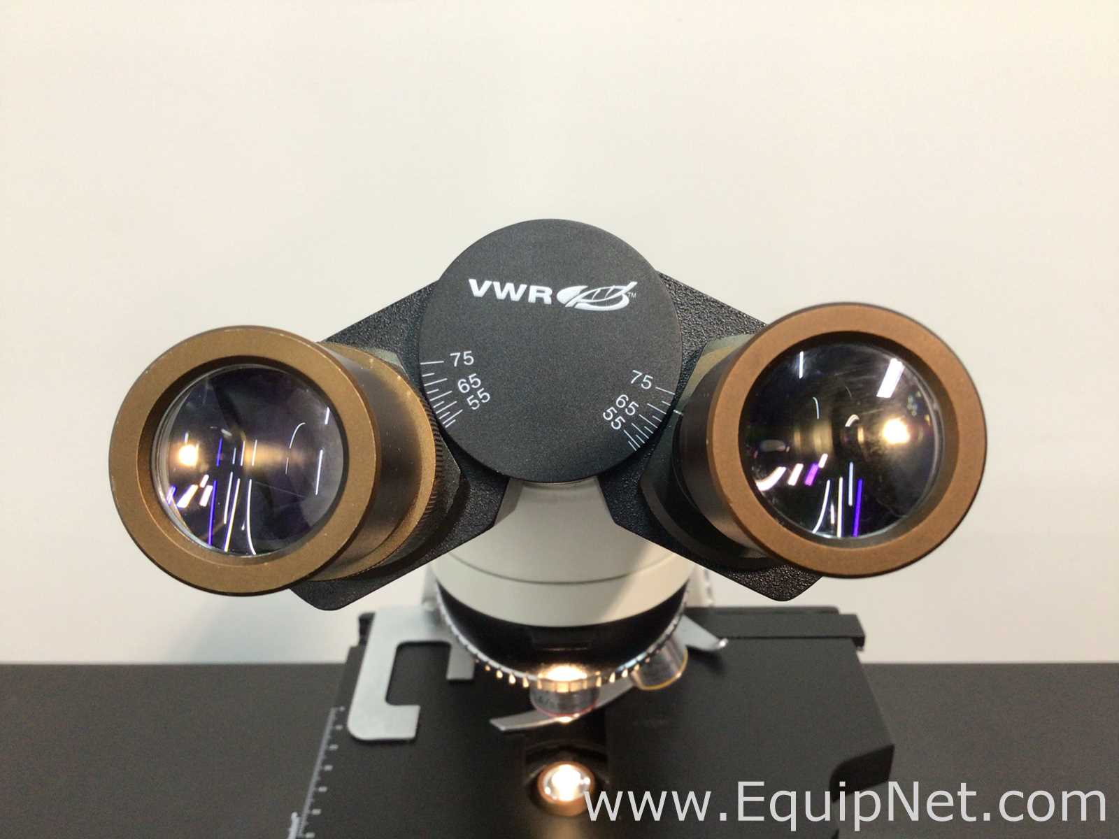 VWR VistaVision Binocular Compound Microscope
