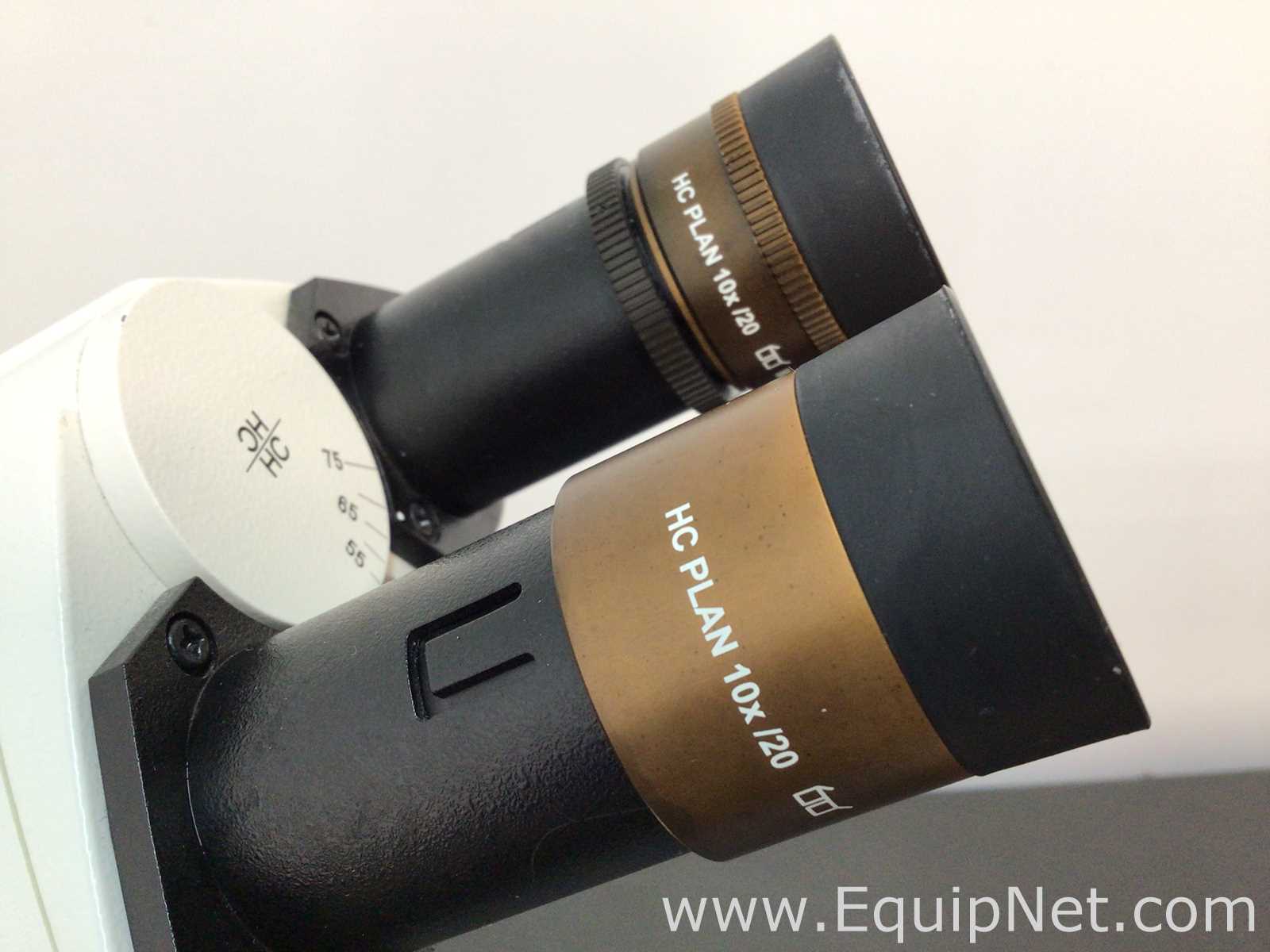 Leica DM1000 Binocular Microscope