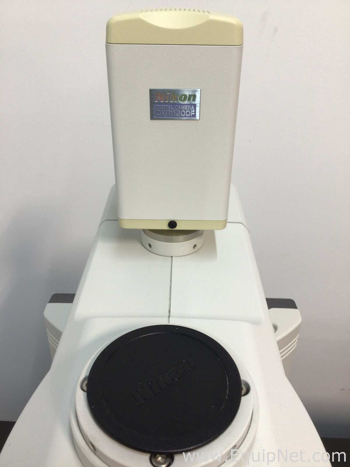 Nikon Eclipse 90i Fluorescence Microscope