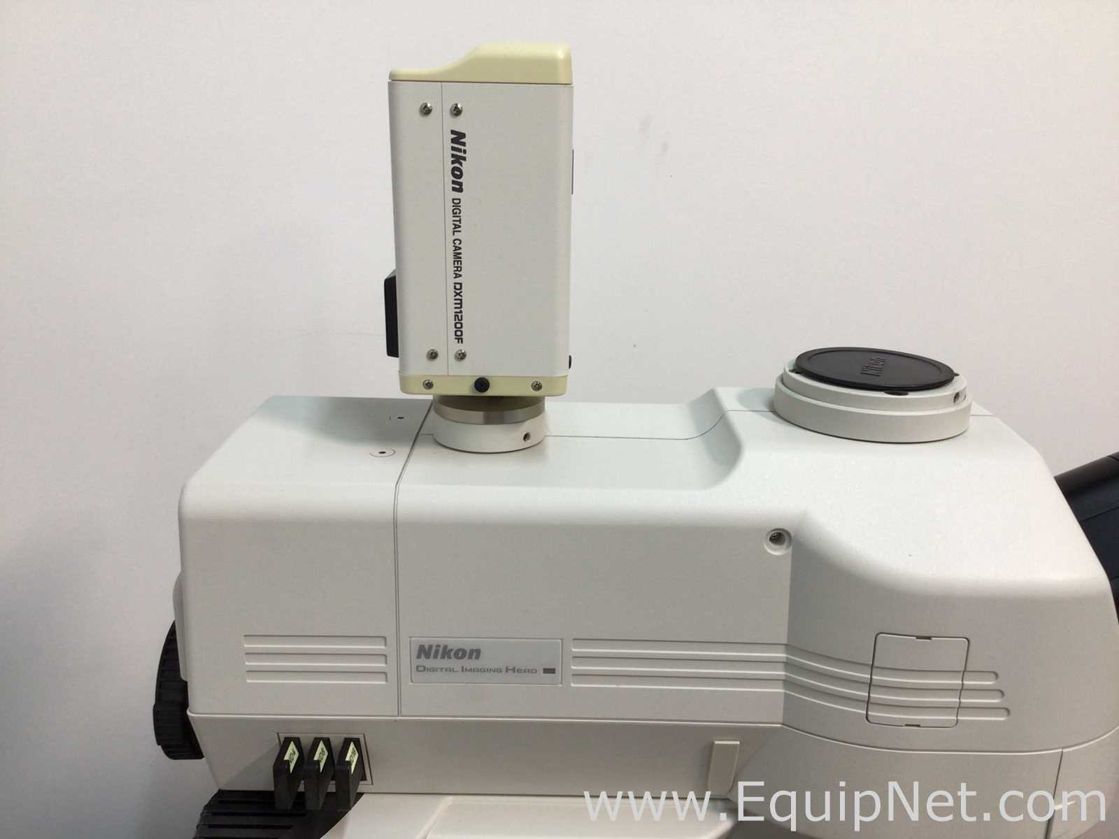 Nikon Eclipse 90i Fluorescence Microscope