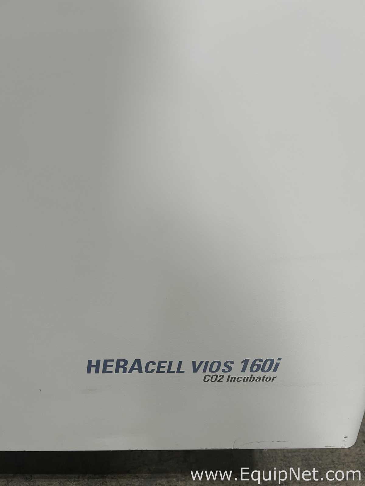 Thermo Scientific Heracell Vios 160i CO2 Incubator