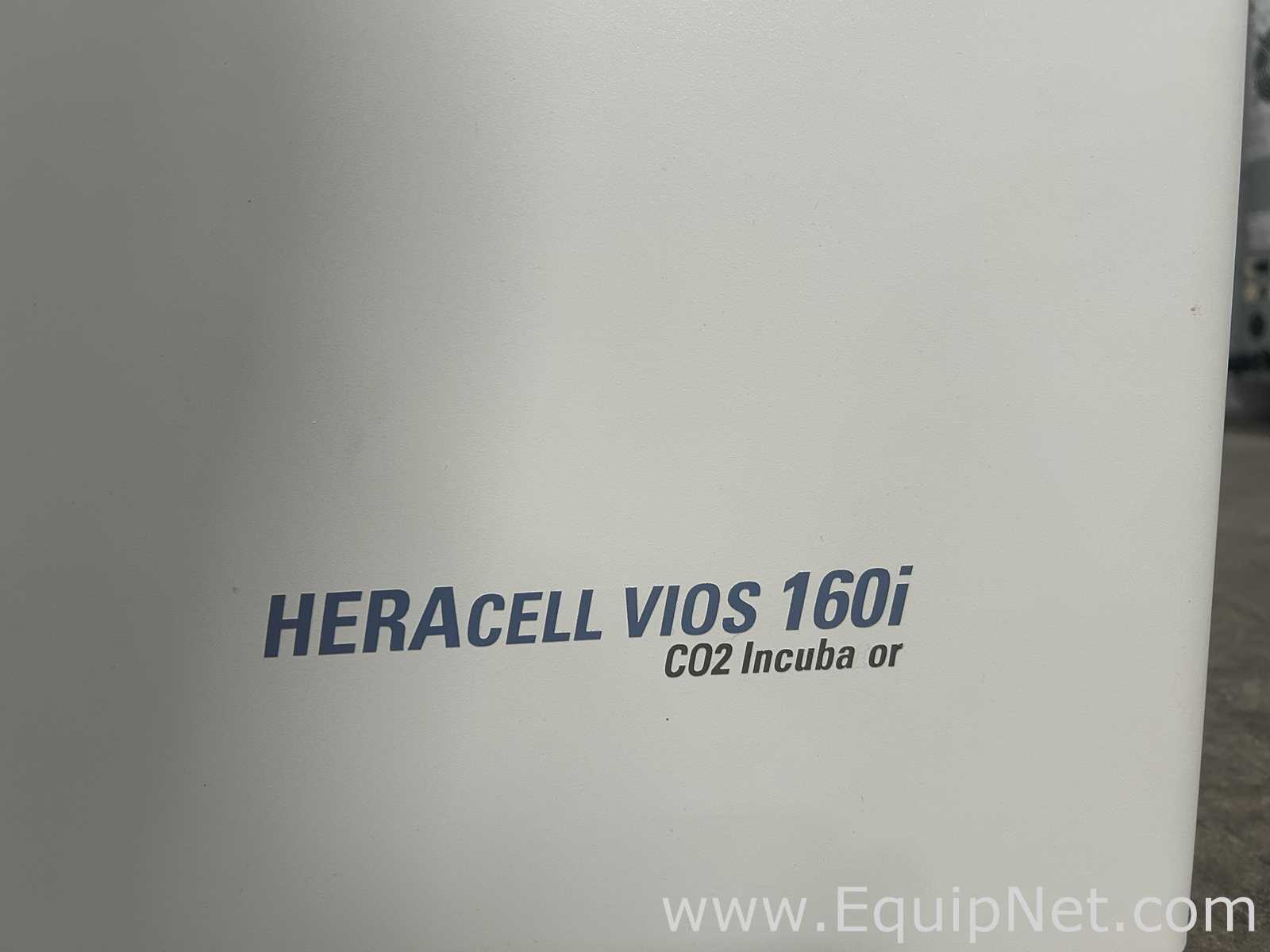 Thermo Scientific Heracell Vios 160i CO2 Incubator