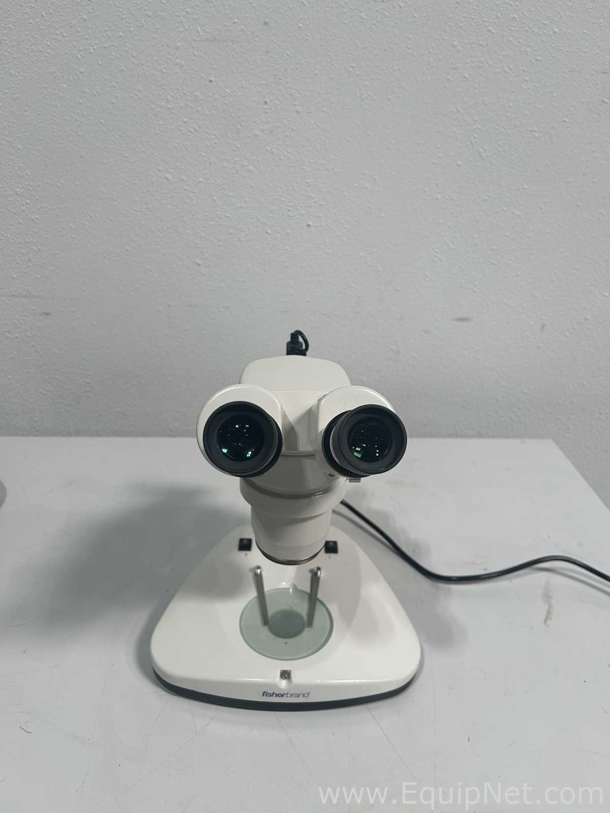 Microscopio Fisher Brand 