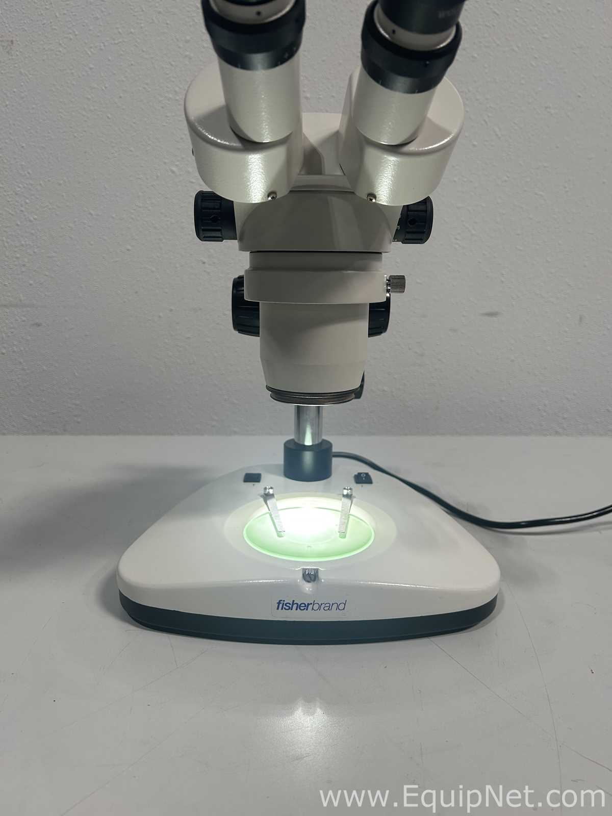 Microscopio Fisher Brand 