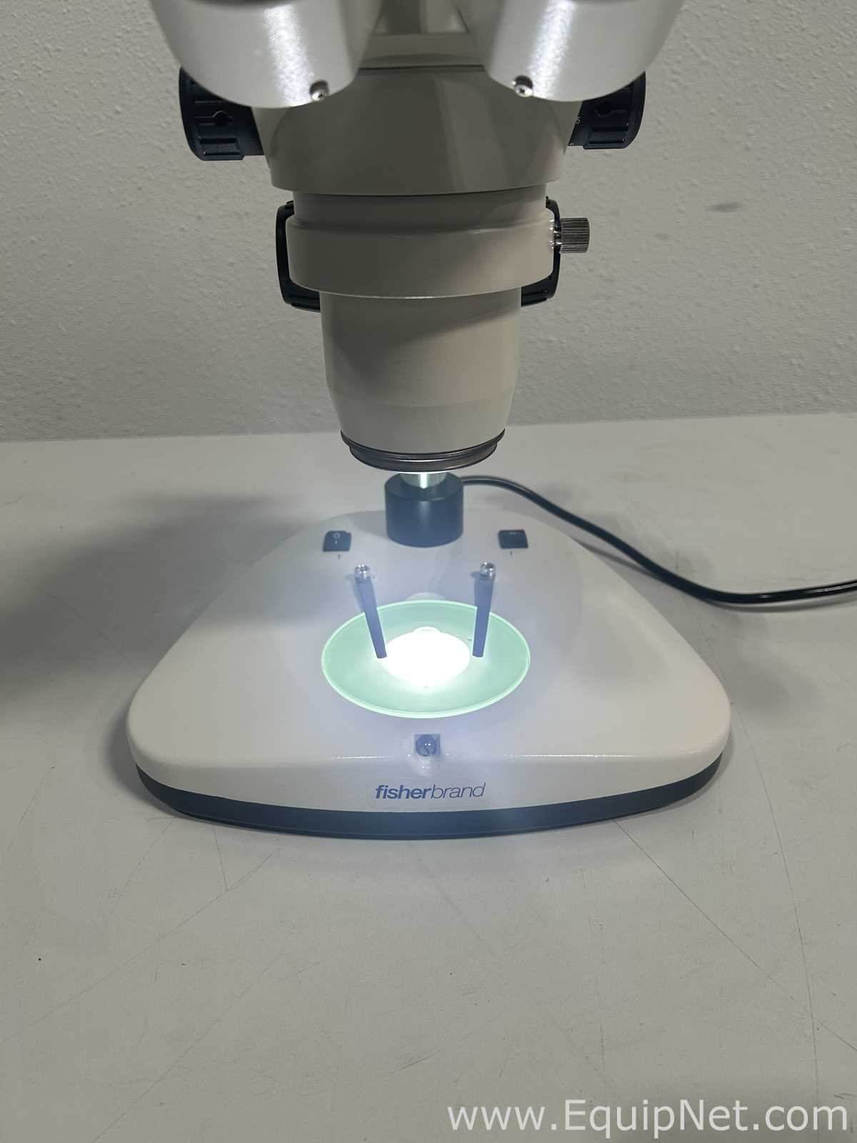 Microscopio Fisher Brand 