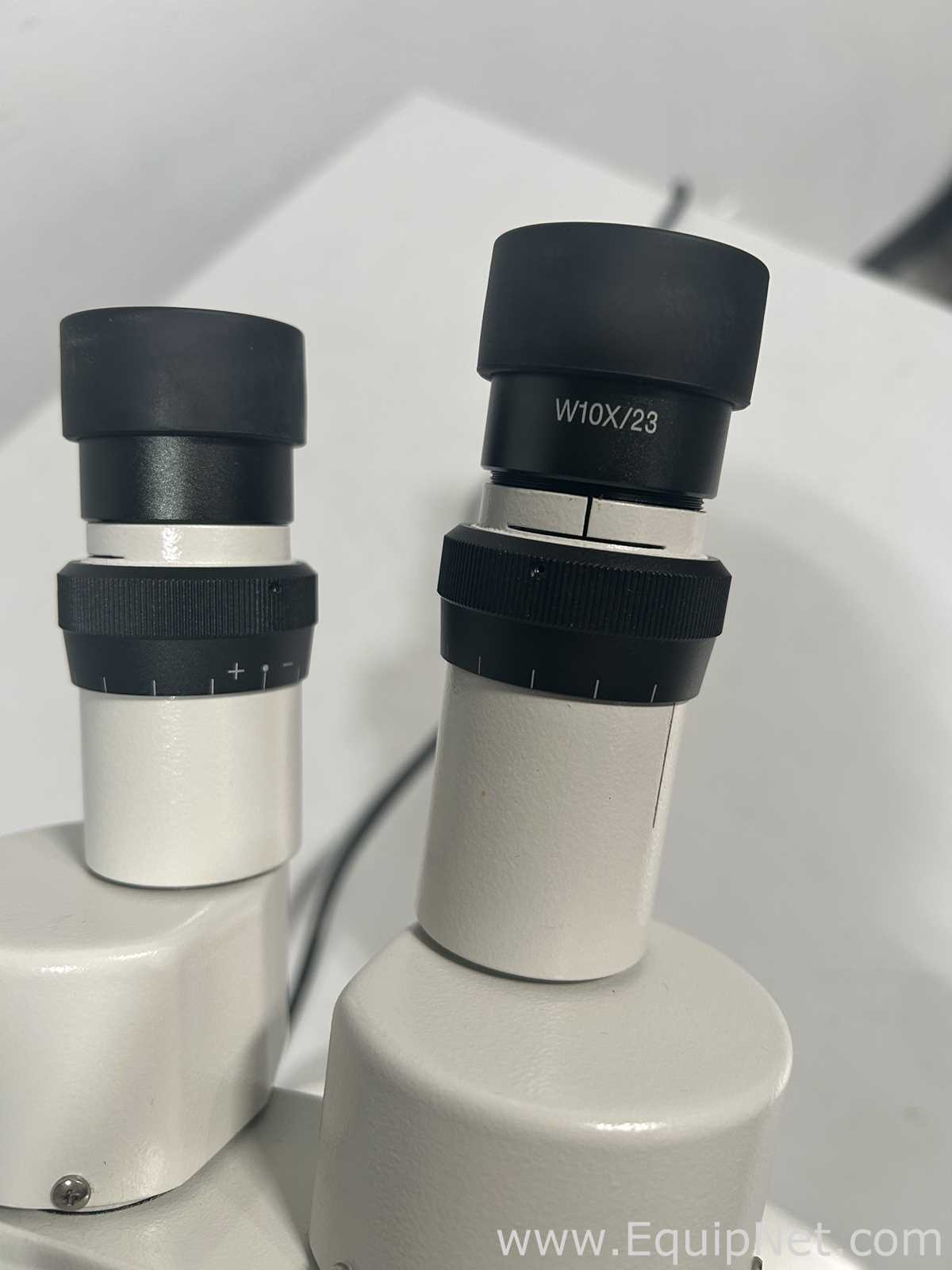 Microscopio Fisher Brand 