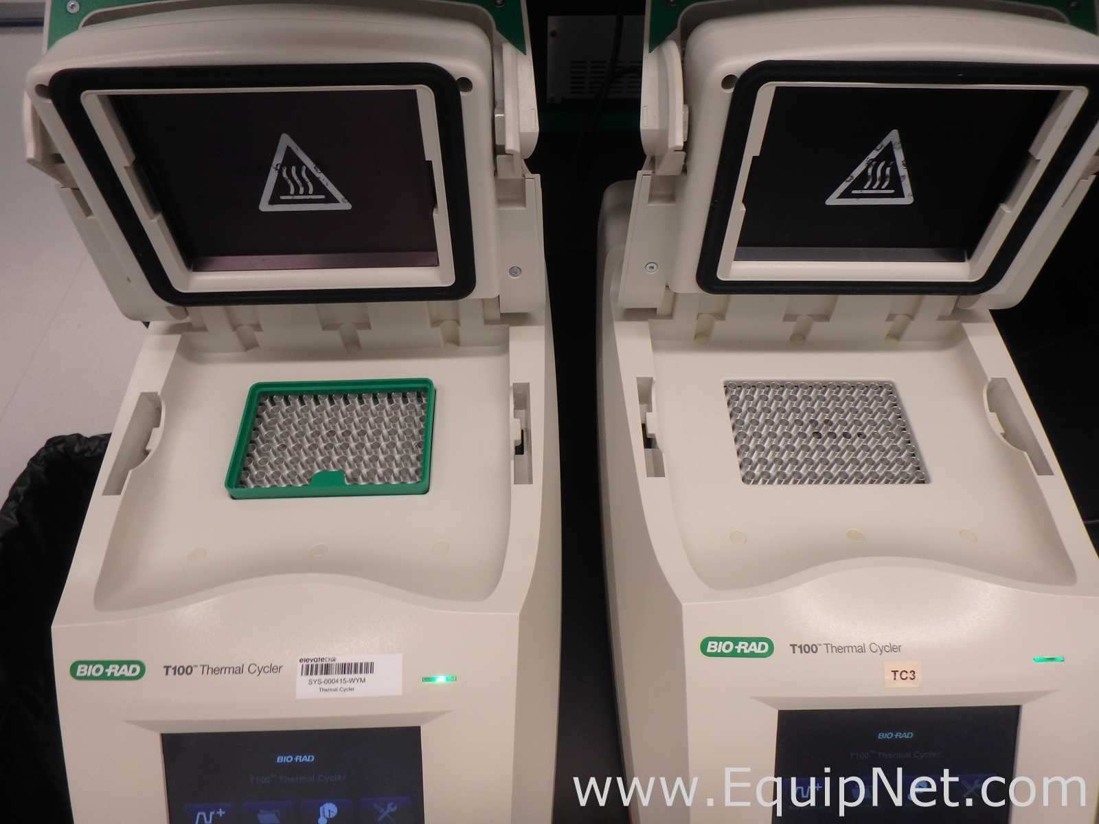 lote de  2 PCR e Termociclador Bio-Rad T100