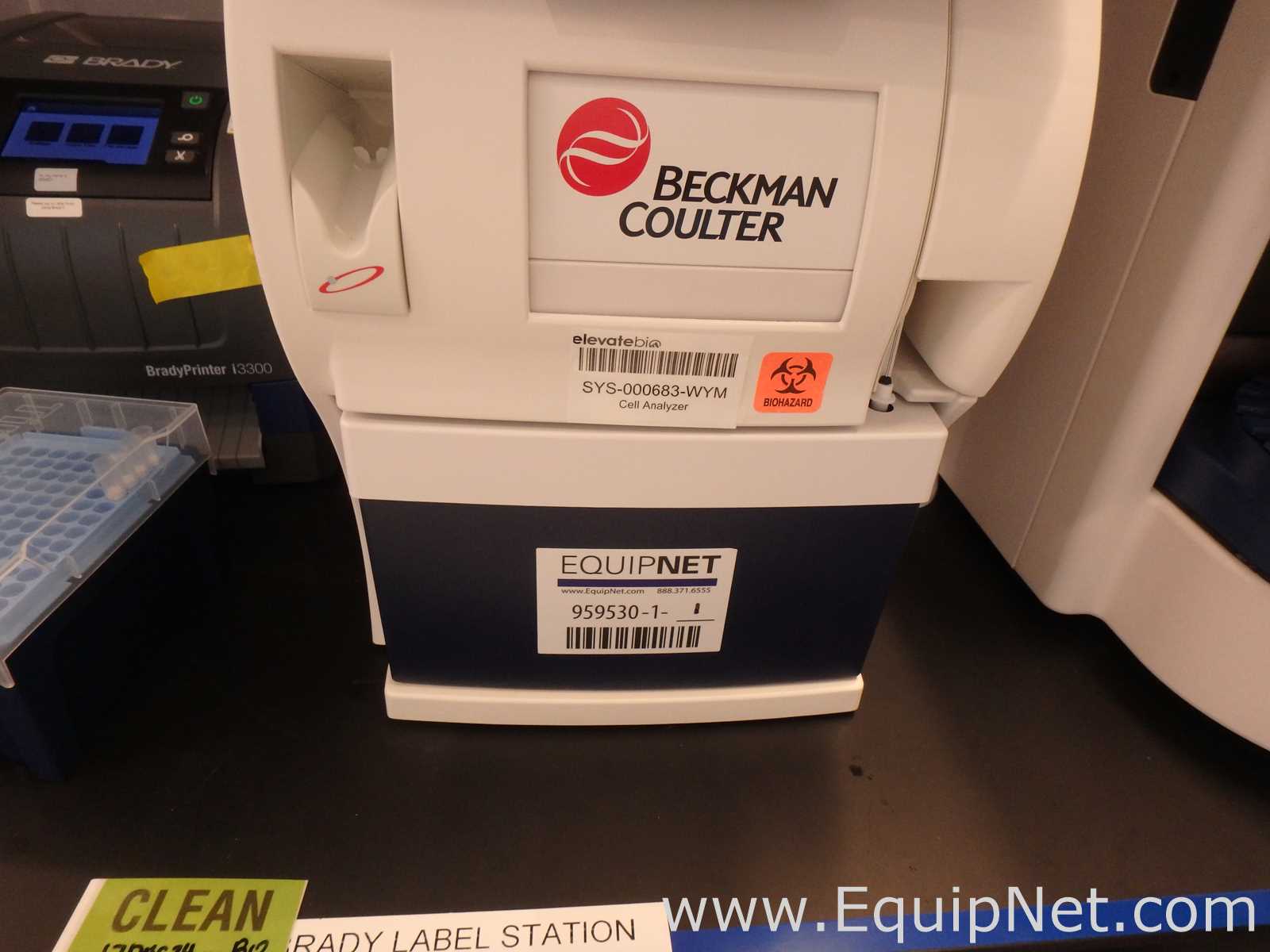 Analisador Beckman Coulter Vi-Cell Metaflex