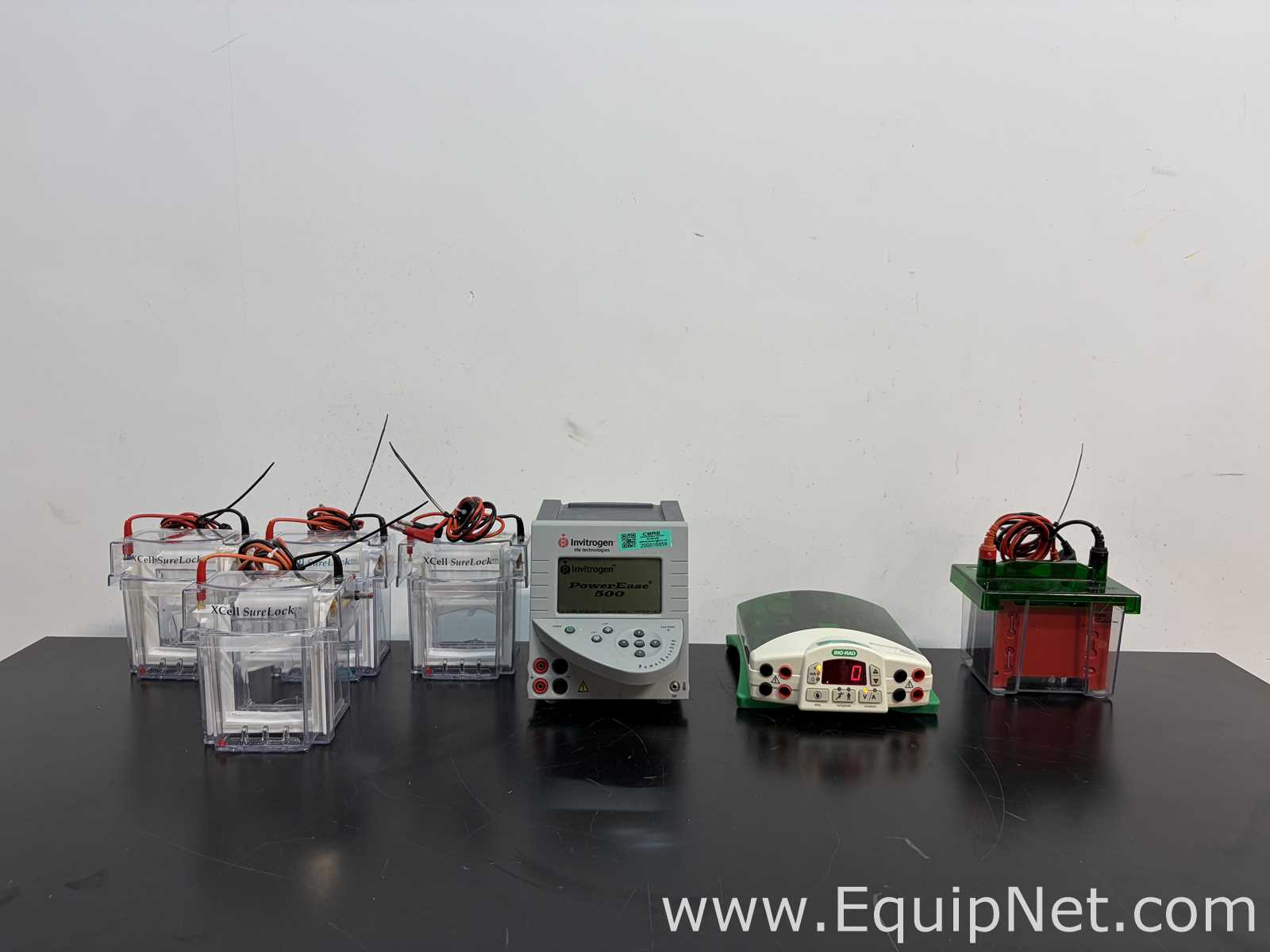 Lot of Invitrogen PowerEase 500 and Bio-Rad Power Pac Basic Power Supplies With Buffer Tanks