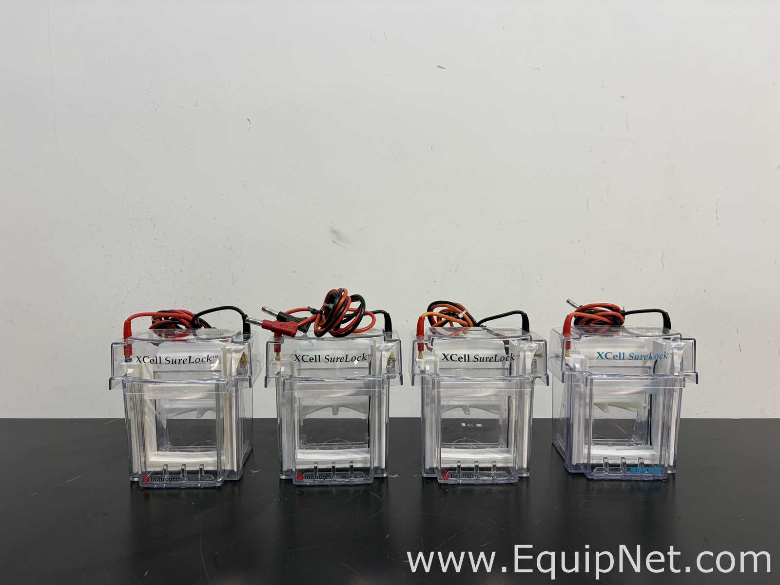 Lot of Invitrogen PowerEase 500 and Bio-Rad Power Pac Basic Power Supplies With Buffer Tanks