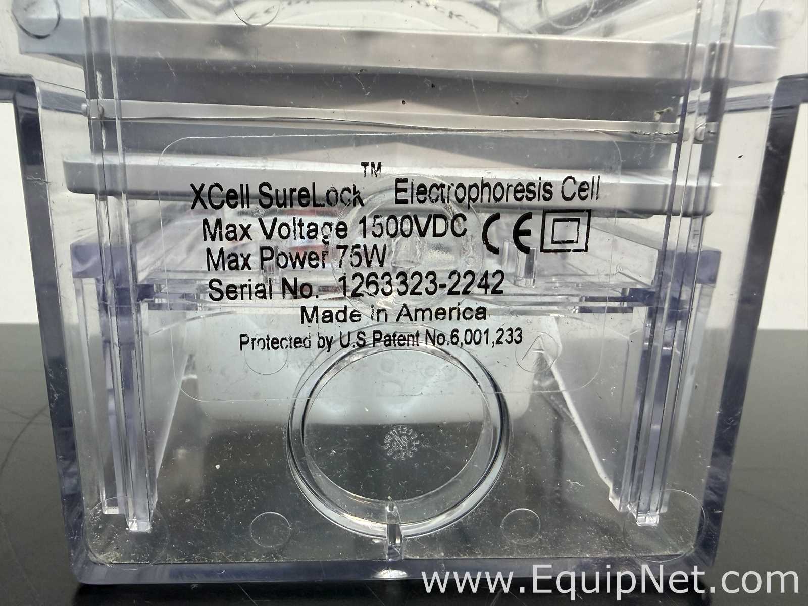 Lot of Invitrogen PowerEase 500 and Bio-Rad Power Pac Basic Power Supplies With Buffer Tanks
