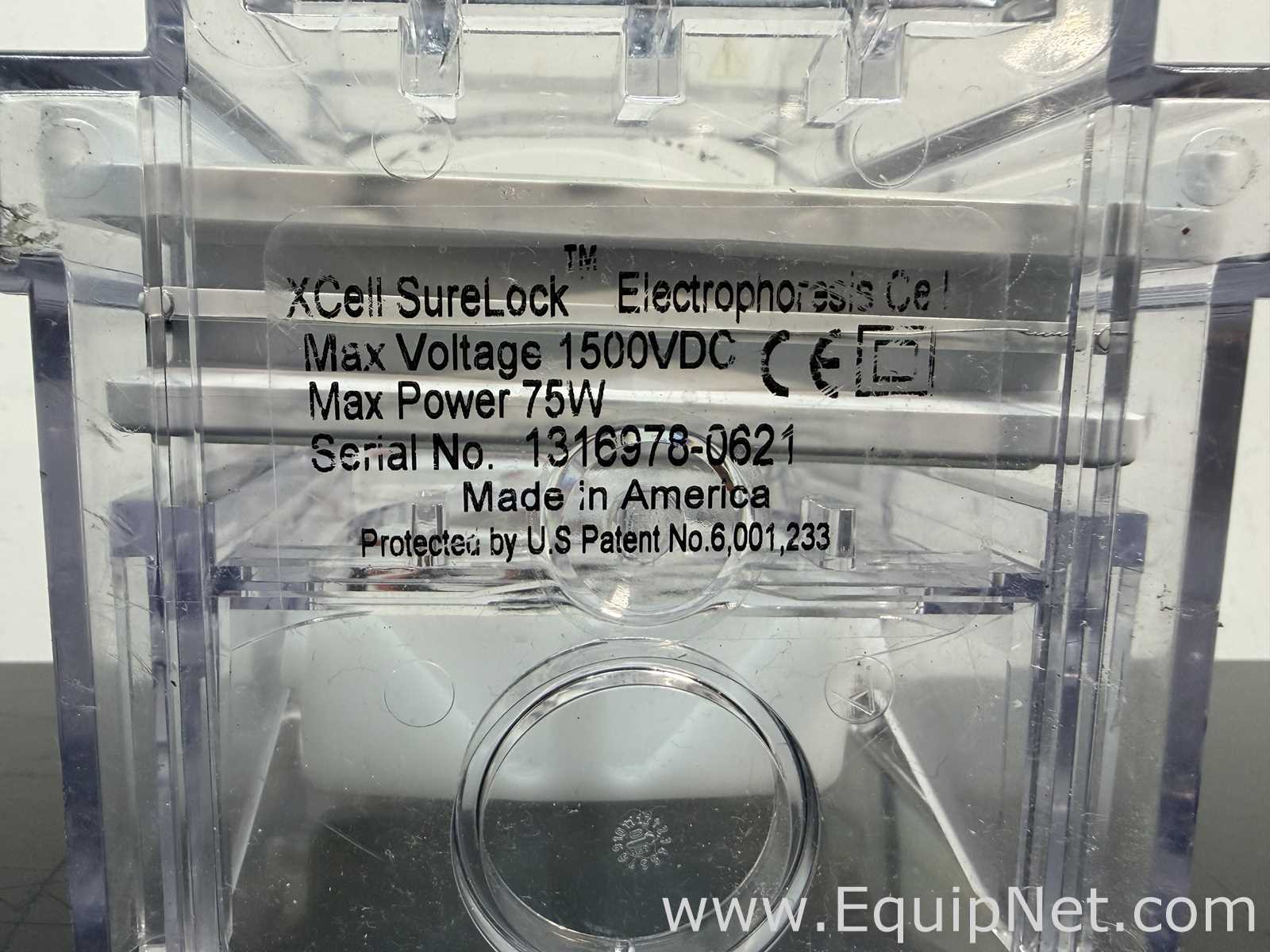 Lot of Invitrogen PowerEase 500 and Bio-Rad Power Pac Basic Power Supplies With Buffer Tanks