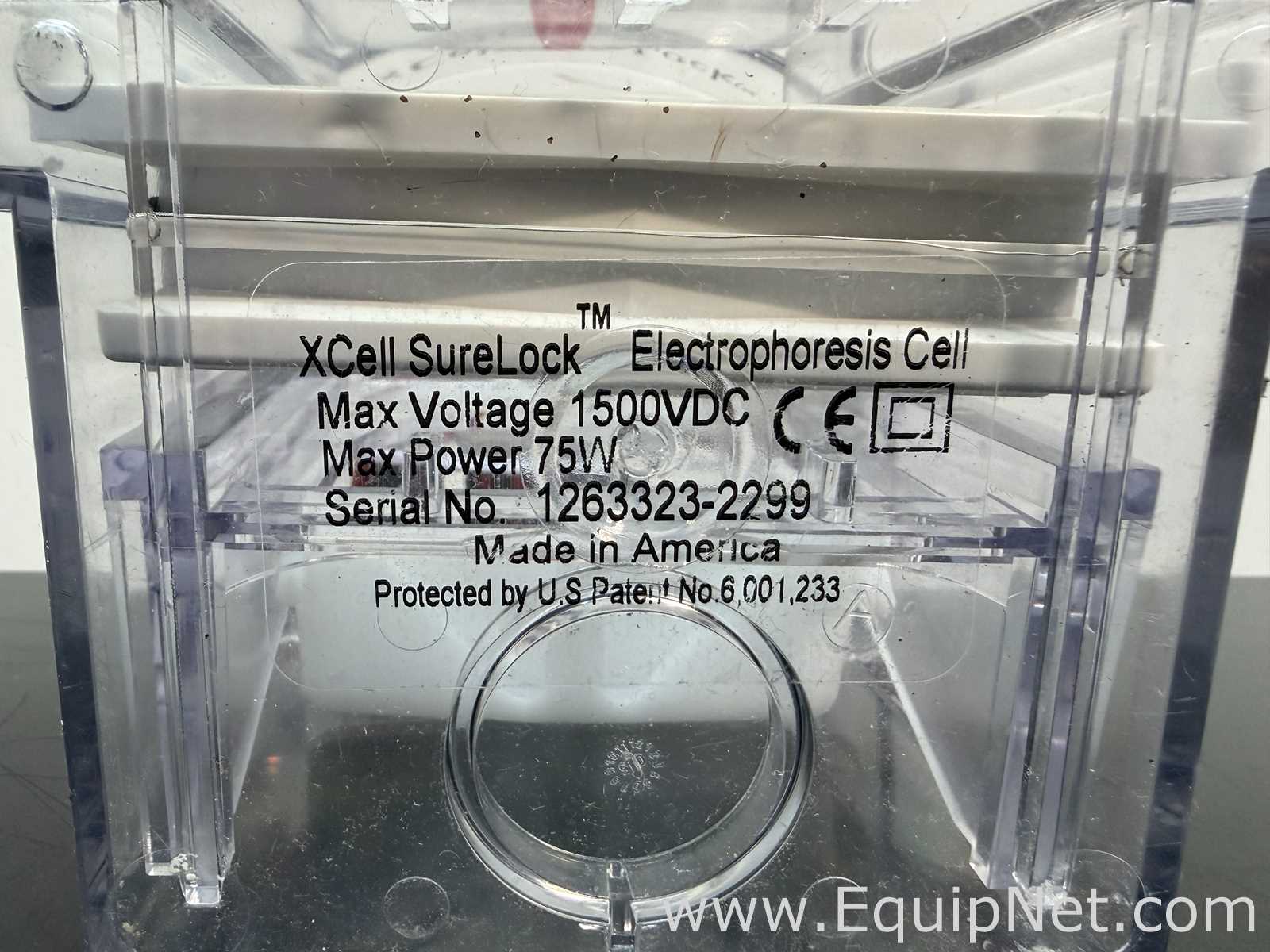 Lot of Invitrogen PowerEase 500 and Bio-Rad Power Pac Basic Power Supplies With Buffer Tanks