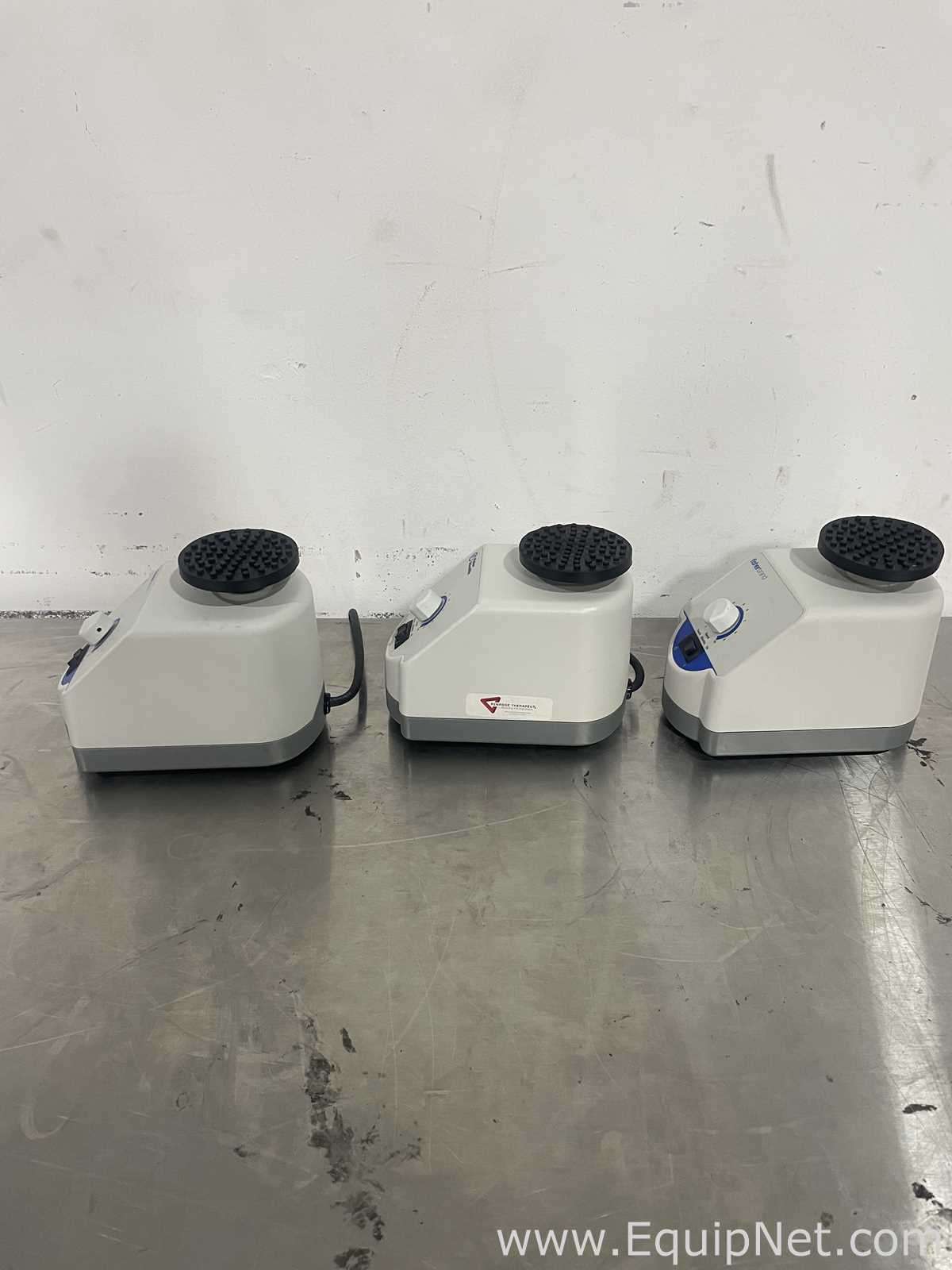 lote de  3 Misturador Fisher Brand Mini Vortex