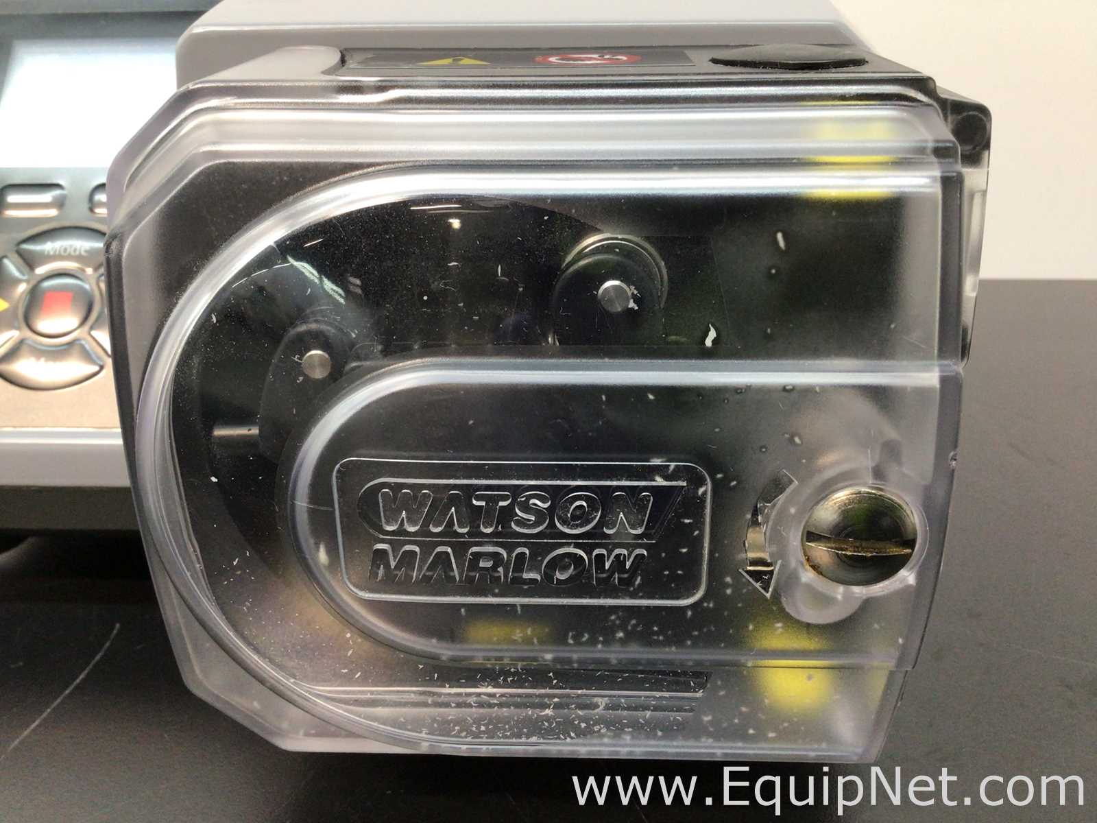 Bomba Peristáltica Watson Marlow NEMA 4X IP66