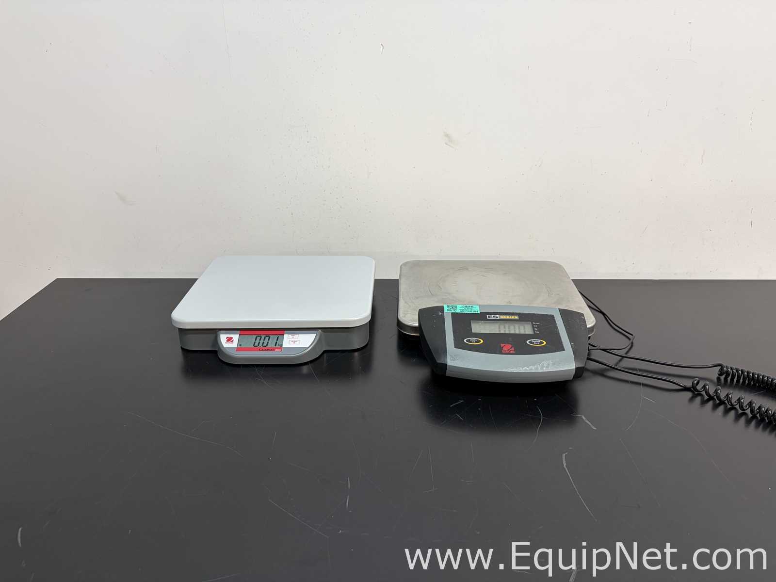 Lot of Ohaus ES30R and C11P20 Bench Scales