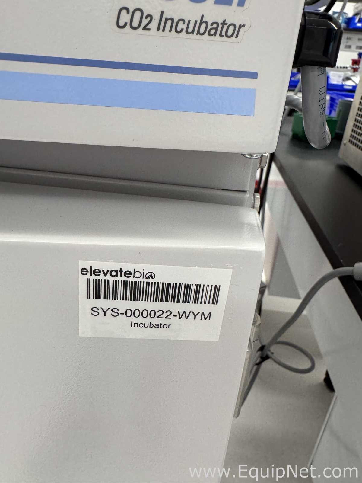 Thermo Fisher 3307 Forma Steri-Cult CO2 Double Stacker Incubators