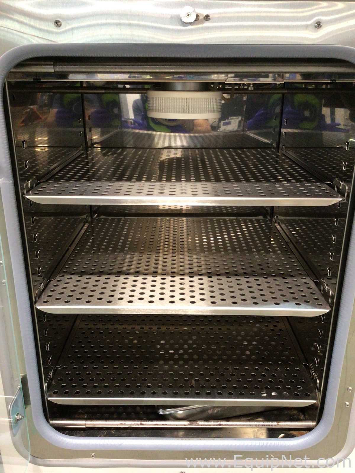 Incubadora Thermo Scientific 370