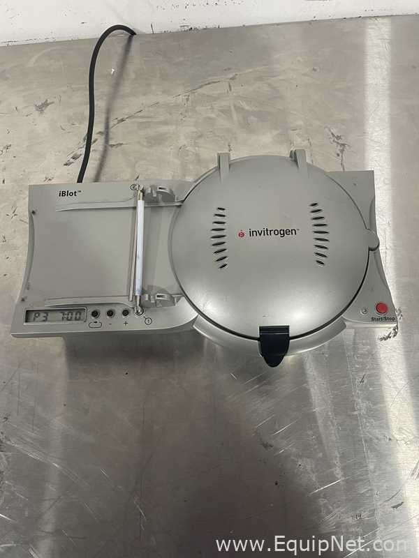 Ethrog Biotechnologies iBlot Electrophoresis