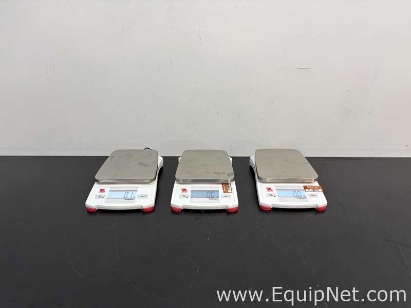 Lote de 3 Báscula Ohaus Corporation CX1201