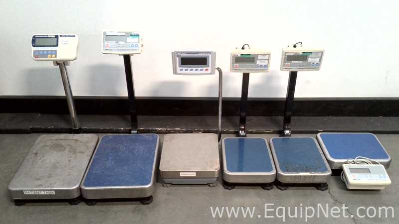 Lote de 6 Báscula AND Company Limited  