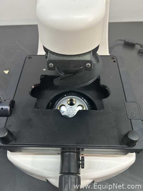 Invitrogen Evos FL Imaging System