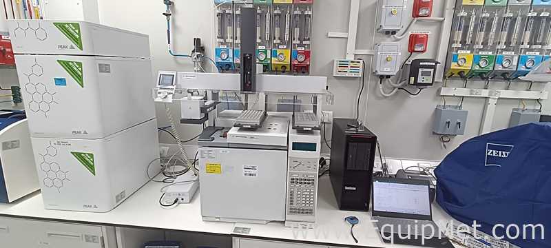 Cromatógrafo a Gás Agilent Technologies 6890N
