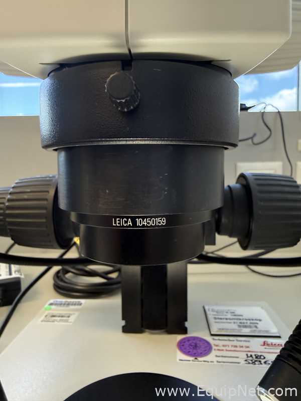 Microscopio Leica M80