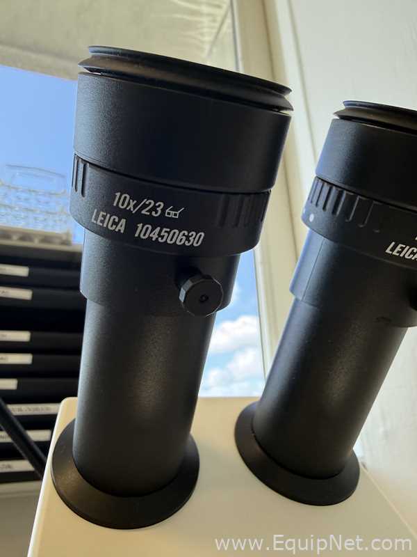 Microscopio Leica M80