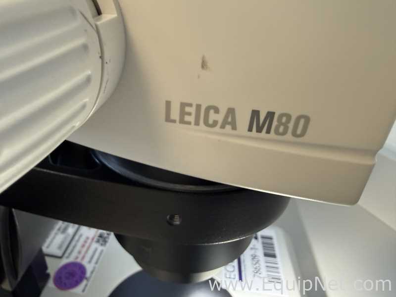 Microscopio Leica M80