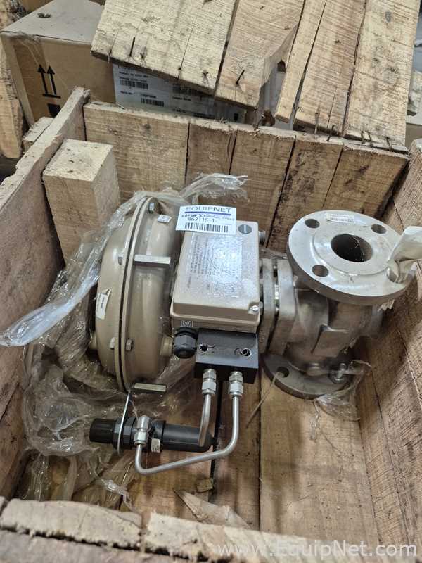 Lote de 2 Válvula Samson Control Pvt. Ltd. 3763