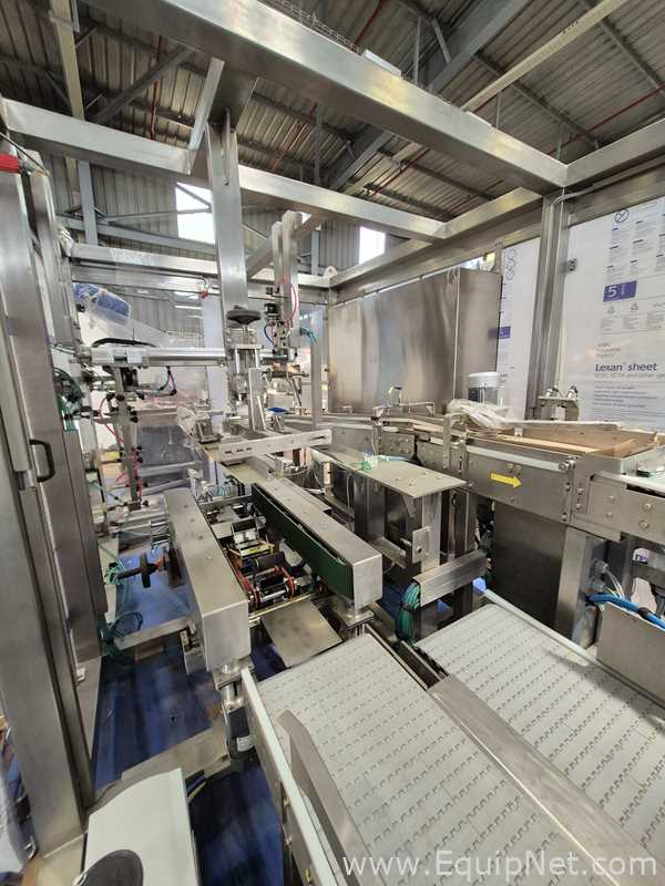Warade Packtech VVR End of Line Robotic Palletizer