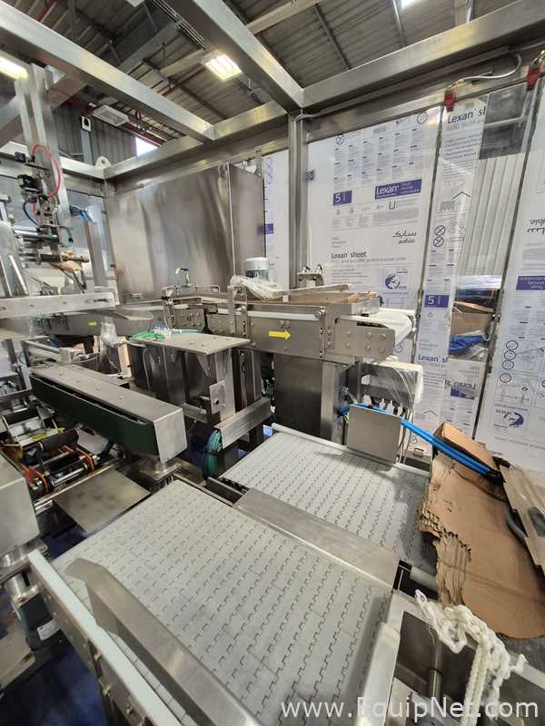 Warade Packtech VVR End of Line Robotic Palletizer