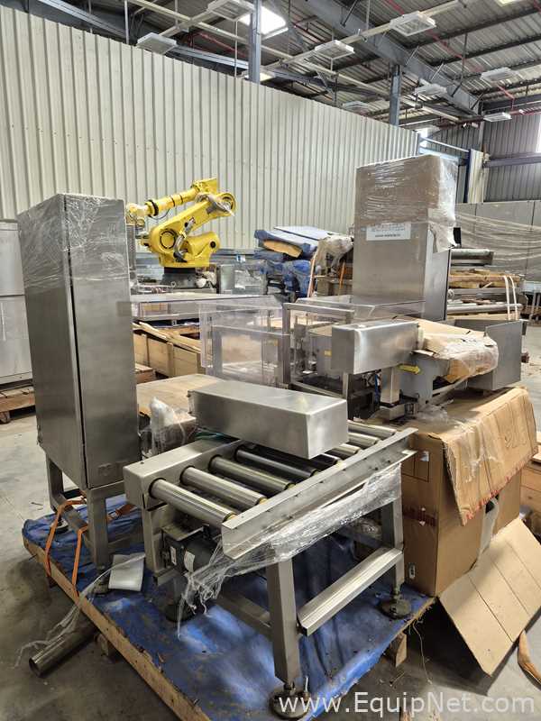 Warade Packtech VVR End of Line Robotic Palletizer