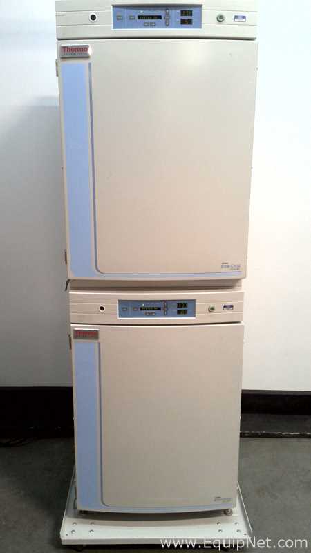 Incubadora Thermo Fisher Scientific 370