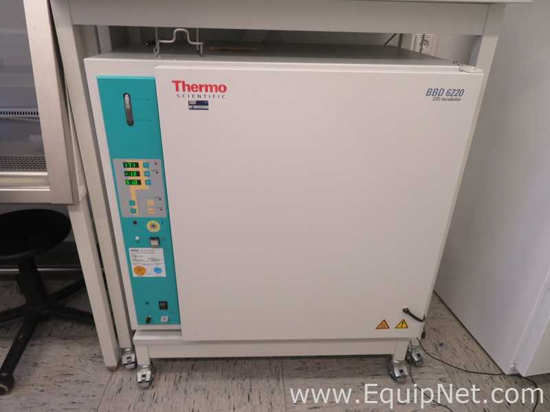 Incubadora Thermo Scientific BBD 6220