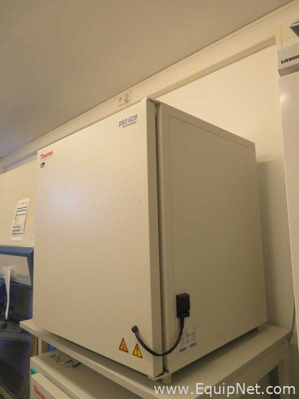 Thermo Scientific BBD 6220 CO2 Incubator