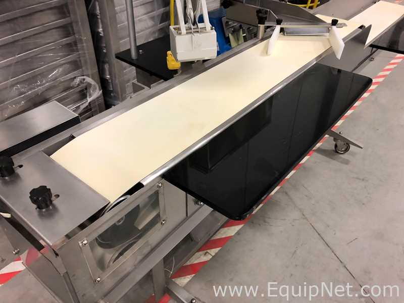 Máquina de Inspeção Charles Lapierre Tablet inspection machine 
