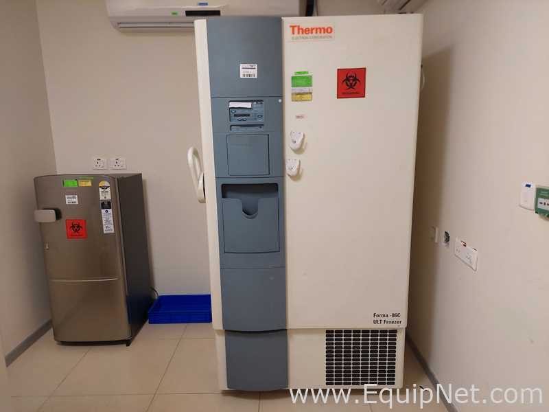 Thermo Electron Corp 8606 Forma -86C ULT Freezer