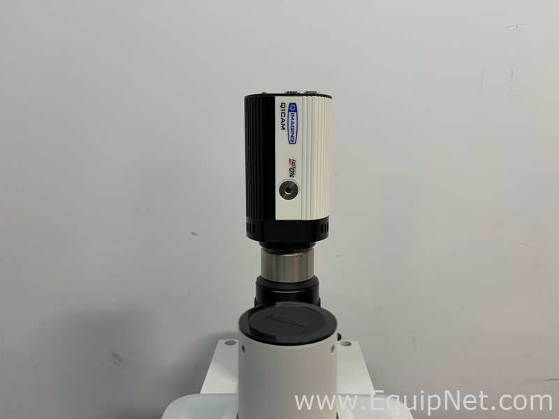 Microscopio Nikon Eclipse E800