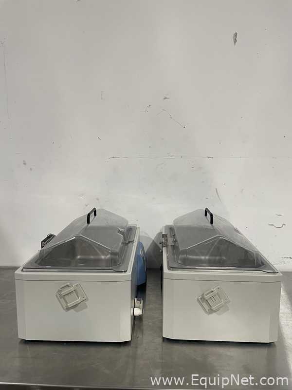 Lote de 2 Baño María / Circulador Thermo Fisher Scientific TSGP20