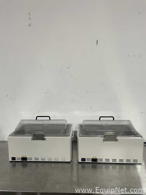 Lote de 2 Baño María / Circulador Thermo Fisher Scientific TSGP20