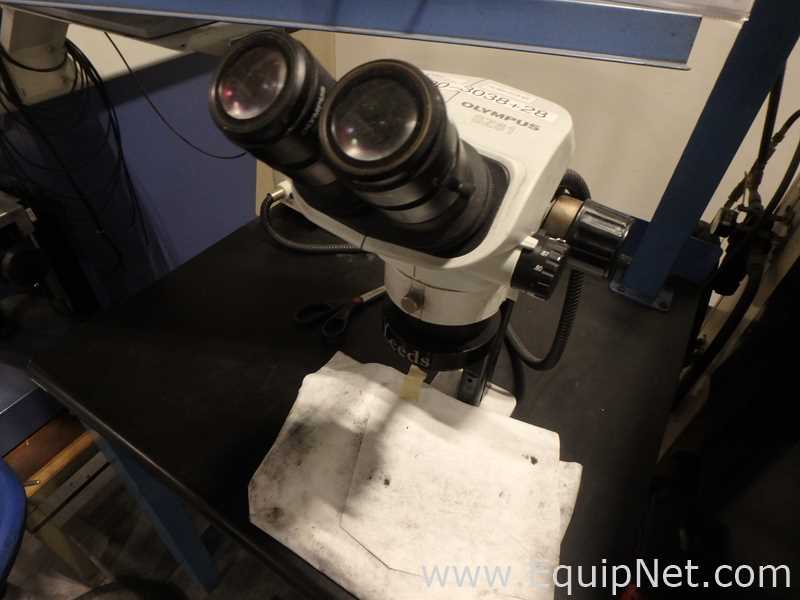 Olympus SZ61 Stereo Microscope with Leeds Light Source