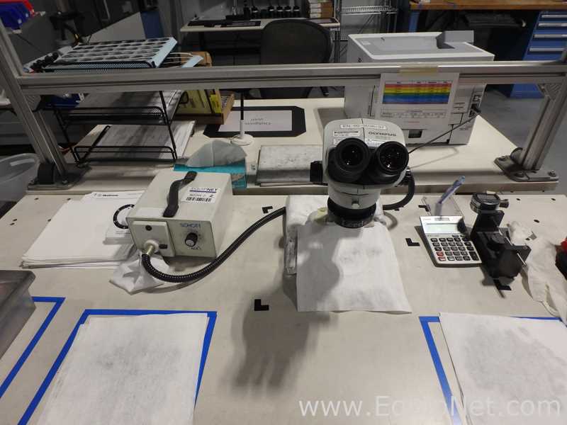 Olympus SZ61 Stereo Microscope with Schott Light Source