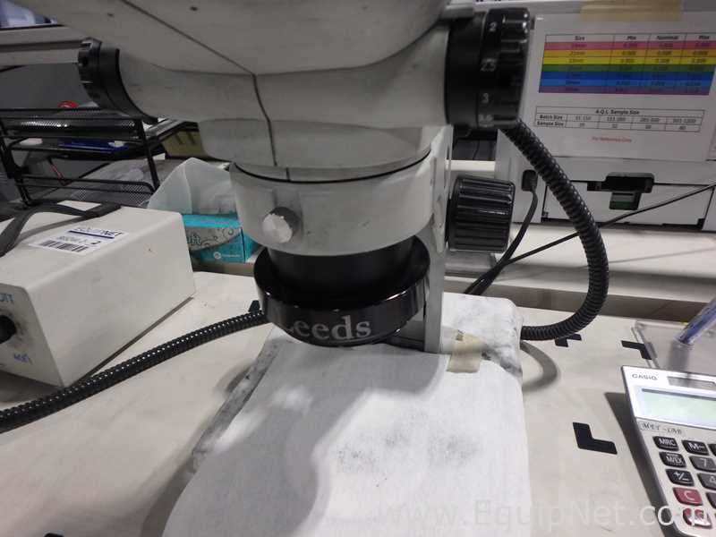 Olympus SZ61 Stereo Microscope with Schott Light Source