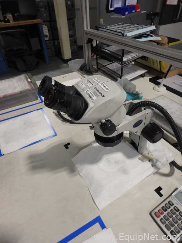 Olympus SZ61 Stereo Microscope with Schott Light Source