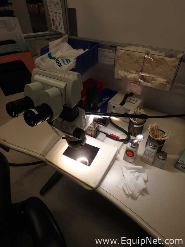 Microscopio Olympus SZX7