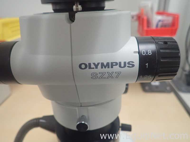 Olympus SZX7 Stereo Microscope With Light Source