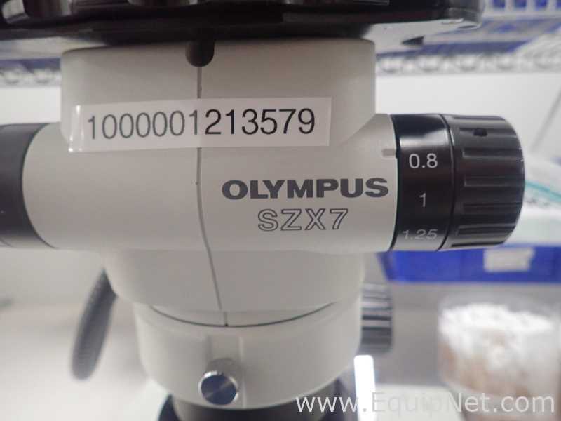 Olympus SZX7 Stereo Microscope With Light Source